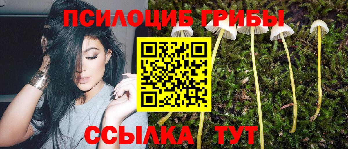 Галлюциногенные грибы мухоморы Белорецк