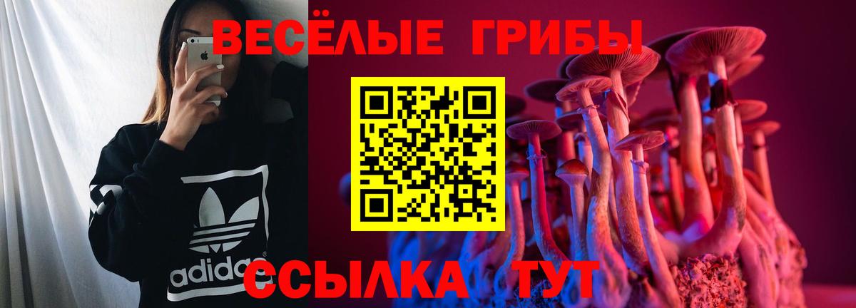 Галлюциногенные грибы мухоморы  Псилоцибиновые грибы GOLDEN TEACHER  Вход с VPN  Белорецк 